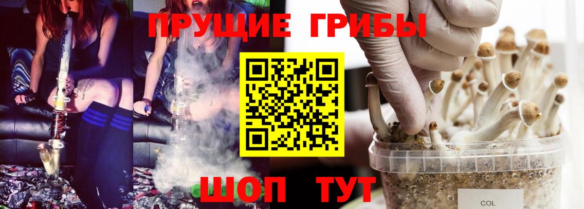 купить  сайты  Галлюциногенные грибы мухоморы  Батайск  Вход с VPN  Галлюциногенные грибы GOLDEN TEACHER 